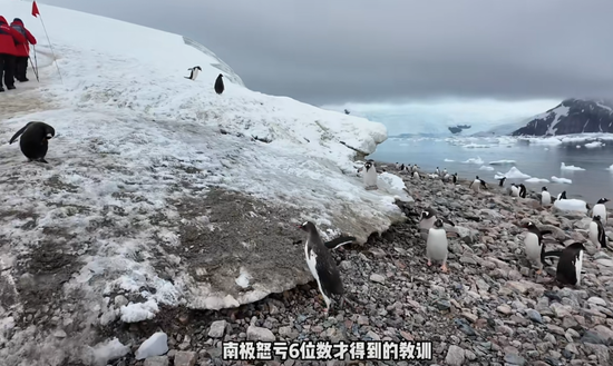 “没赔偿，感觉很亏”！数百人滞留南极，一大半是中国人！有游客称一行人多花20万元